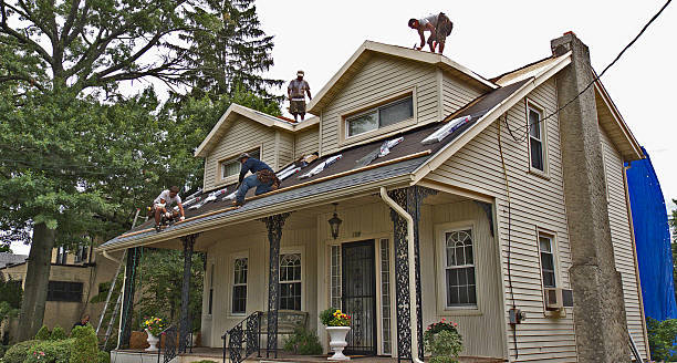 Best Roof Gutter Cleaning  in Queensland, MD